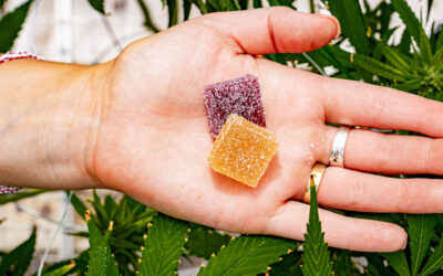 What You Should Know About Edibles