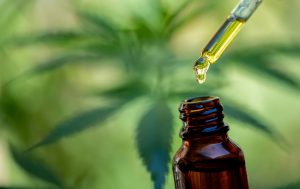 Doctors hold a bottle of medicine dropper, biomedical and ecological hemp medicine, medicinal plants, cbd oil, hemp oil, medical hemp products for medical use, including cbd hemp leaf and Hemp CBD oil capsules.