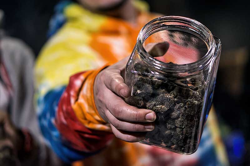 | Roots Rx cannabis buying guide - budtender holding a jar of cannabis flowers