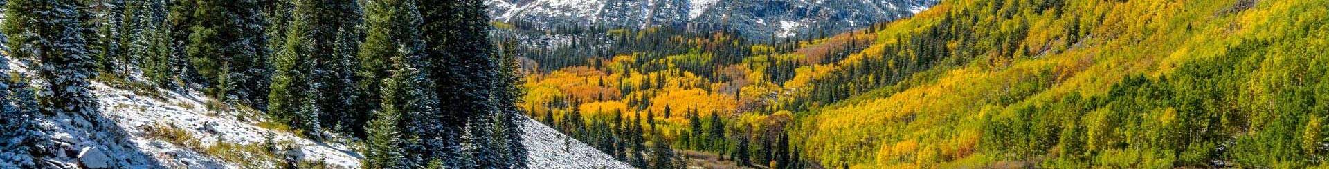 | Roots Rx things to do in colorado cannabis - rocky mountains photo